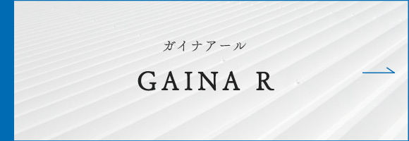 GAINA R（ガイナ アール）
